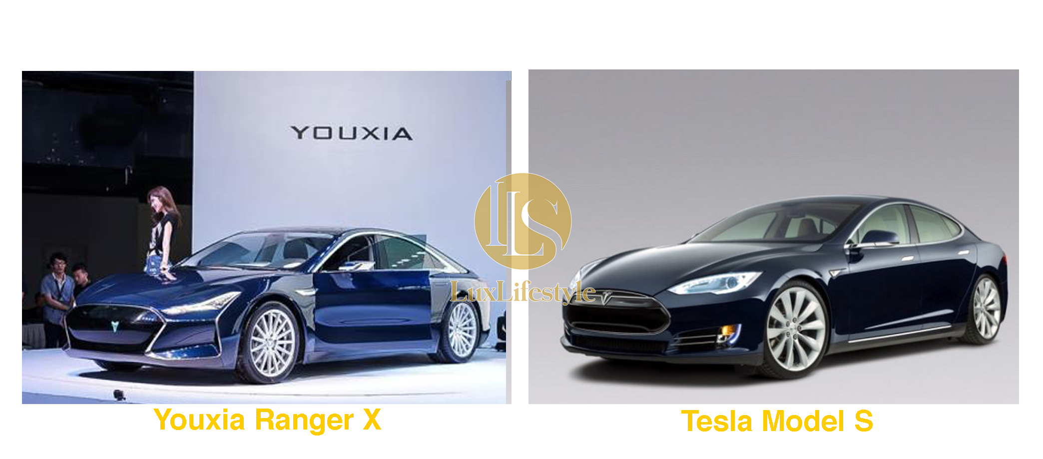 lux-youxia-ranger-x-va-tesla-model-s-1641822560.png