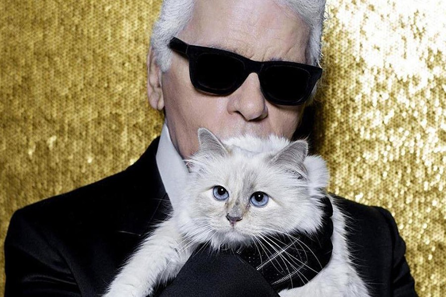 con-meo-choupette-cua-nha-thiet-ke-karl-lagerfeld-1-1644339184.jpeg