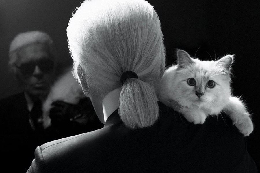 con-meo-choupette-cua-nha-thiet-ke-karl-lagerfeld-2-1644339184.jpeg