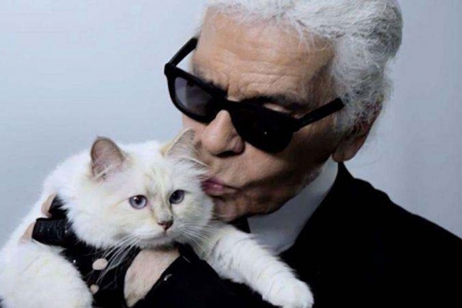 con-meo-choupette-cua-nha-thiet-ke-karl-lagerfeld-5-1644339184.jpeg