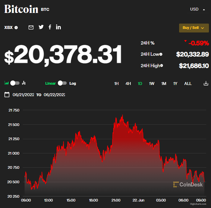 ong-nayib-bukele-tong-thong-el-salvador-gia-bitcoin-ngay-2206-1655875208.png