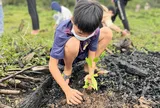 Từ núi rừng Sapa đến vùng biển xanh Phú Quốc, hàng loạt hoạt động ấn tượng khắp Việt Nam hưởng ứng Tuần lễ Sức khoẻ Thế giới 2022 