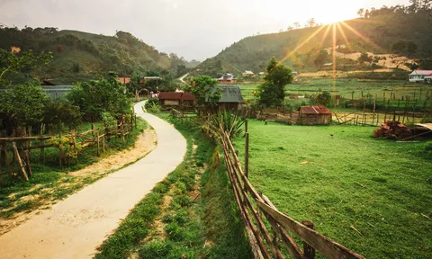 Ngôi làng 'thiên đường địa lan' ở Măng Đen, khách tới chữa lành 3 lần không chán