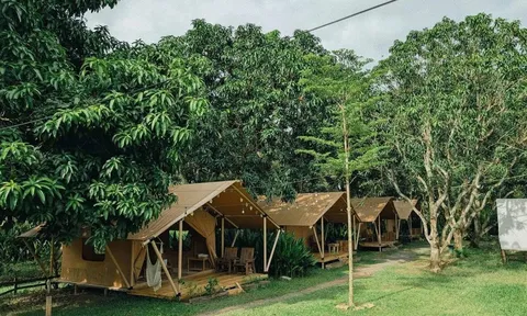 5 khu cắm trại tại TPHCM phù hợp "đưa nhau đi trốn" dịp Tết Dương lịch