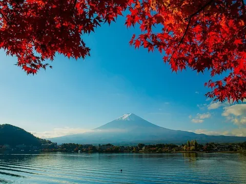 Nhật Bản: Sắc Thu rực rỡ của vùng núi Phú Sĩ trong tiết trời se lạnh đầu Đông
