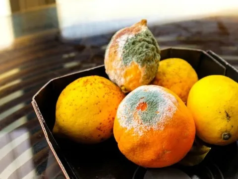 Thói quen ăn uống tưởng tiết kiệm nhưng lại rước nguy hiểm vào người