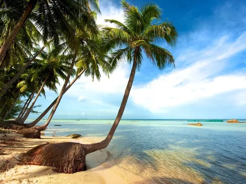 Đảo ngọc Phú Quốc ‘cháy’ phòng nghỉ đến sau Tết Nguyên đán