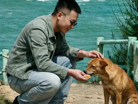 Chú chó ở Phú Yên gây sốt vì chỉ đường cho khách như hướng dẫn viên