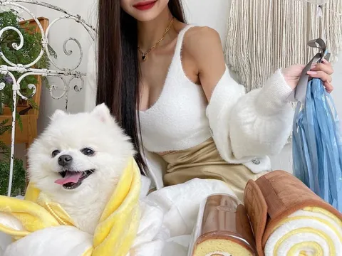 Song Ji A xóa hàng trăm bài viết vì vụ dùng hàng nhái