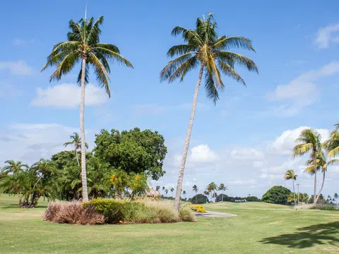 Có gì trên 'đảo tỷ phú': Nơi có tiền chưa chắc đã mua được đất, an ninh được bảo vệ tuyệt đối, không được tự do chụp hình