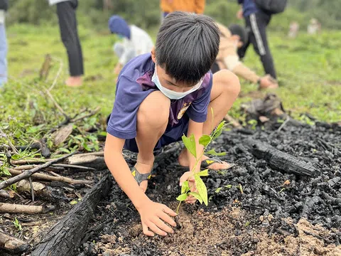 Từ núi rừng Sapa đến vùng biển xanh Phú Quốc, hàng loạt hoạt động ấn tượng khắp Việt Nam hưởng ứng Tuần lễ Sức khoẻ Thế giới 2022 