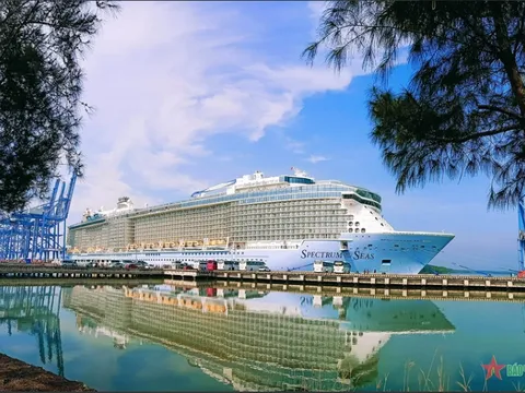 Cận cảnh siêu du thuyền 940 triệu đô Spectrum of the Seas: Có chuỗi cửa hàng miễn thuế, quầy bar tự động, khu vui chơi…