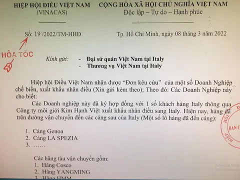 Thất lạc hồ sơ gốc trong quá trình thanh toán D/P, lô hàng hạt điều 1.000 tỷ đồng của các doanh nghiệp Việt Nam xuất khẩu ddi Italia sẽ đi về đâu?